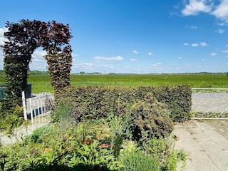 Ferienhaus Hoek Außenaufnahme 20
