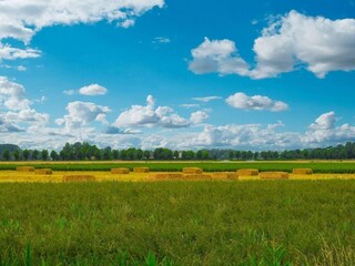 Holiday house Aardenburg Outdoor Recording 32