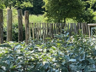 Ferienhaus Wemeldinge Außenaufnahme 29