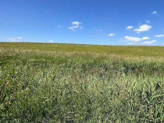 Holiday house Wemeldinge Outdoor Recording 42