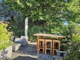 Ferienhaus Wolphaartsdijk Außenaufnahme 40