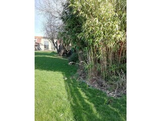 Holiday house Assenede Outdoor Recording 41