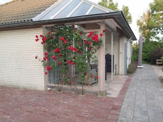 Ferienhaus Vlissingen Außenaufnahme 8