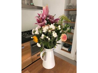 Ferienhaus Dishoek Außenaufnahme 24