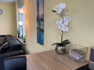 Ferienhaus Vlissingen Außenaufnahme 15