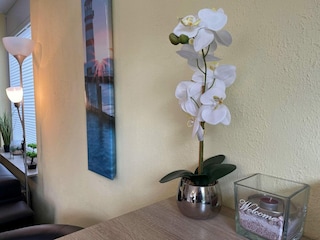 Ferienhaus Vlissingen Außenaufnahme 17