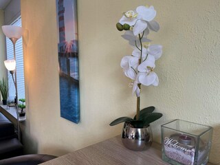 Holiday house Vlissingen Outdoor Recording 17