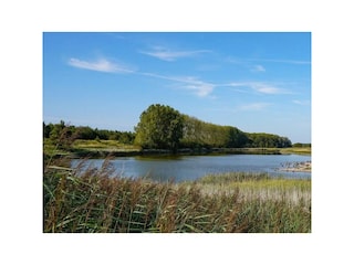 Chalet Sint-Maartensdijk Außenaufnahme 13