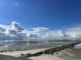 Chalet Sint-Maartensdijk Außenaufnahme 16