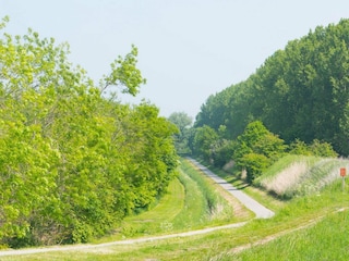 Chalet Sint-Maartensdijk Outdoor Recording 18