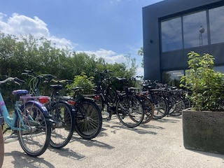 Chalet Sint-Maartensdijk Outdoor Recording 21