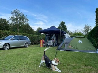 Chalet Sint-Maartensdijk Outdoor Recording 68