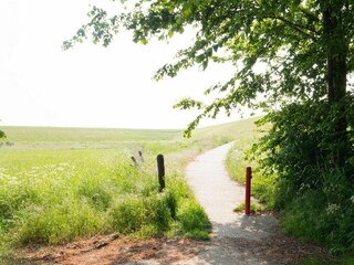 Chalet Sint-Maartensdijk Außenaufnahme 69