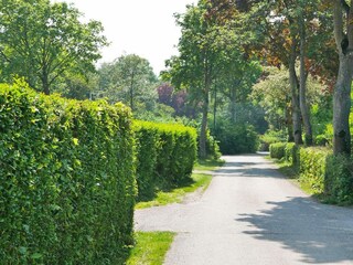 Chalet Sint-Maartensdijk Außenaufnahme 71