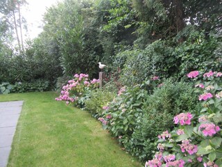 Holiday house Oostkapelle Outdoor Recording 21