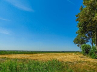 Ferienhaus Aardenburg Außenaufnahme 13