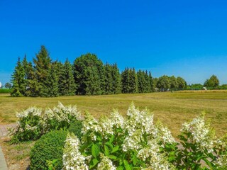 Ferienhaus Aardenburg Außenaufnahme 19