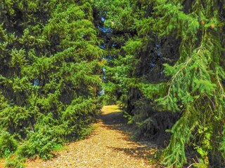 Ferienhaus Aardenburg Außenaufnahme 21
