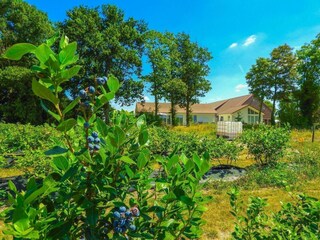 Holiday house Aardenburg Outdoor Recording 26