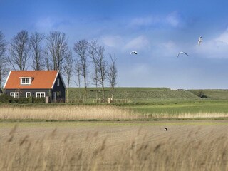 Holiday house Wissenkerke Outdoor Recording 9