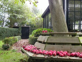 Holiday house Oostkapelle Outdoor Recording 21