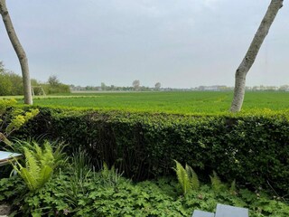 Ferienhaus Dishoek Außenaufnahme 6