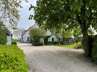 Ferienhaus Dishoek Außenaufnahme 6