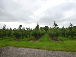 Ferienhaus Oostkapelle Außenaufnahme 20
