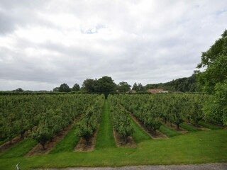 Ferienhaus Oostkapelle Außenaufnahme 22
