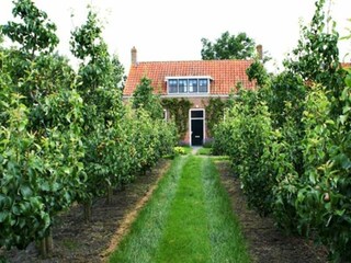 Ferienhaus Oostkapelle Außenaufnahme 24