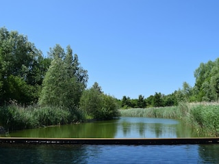 Ferienhaus Oostkapelle Außenaufnahme 25