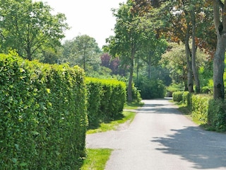 Ferienhaus Sint-Maartensdijk Außenaufnahme 64