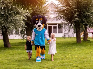 Ferienhaus Bruinisse Außenaufnahme 63