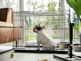 Ferienhaus Nieuwvliet Außenaufnahme 8