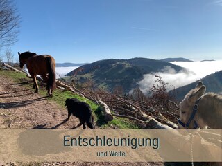 Ferienwohnung Neuenweg Umgebung 26