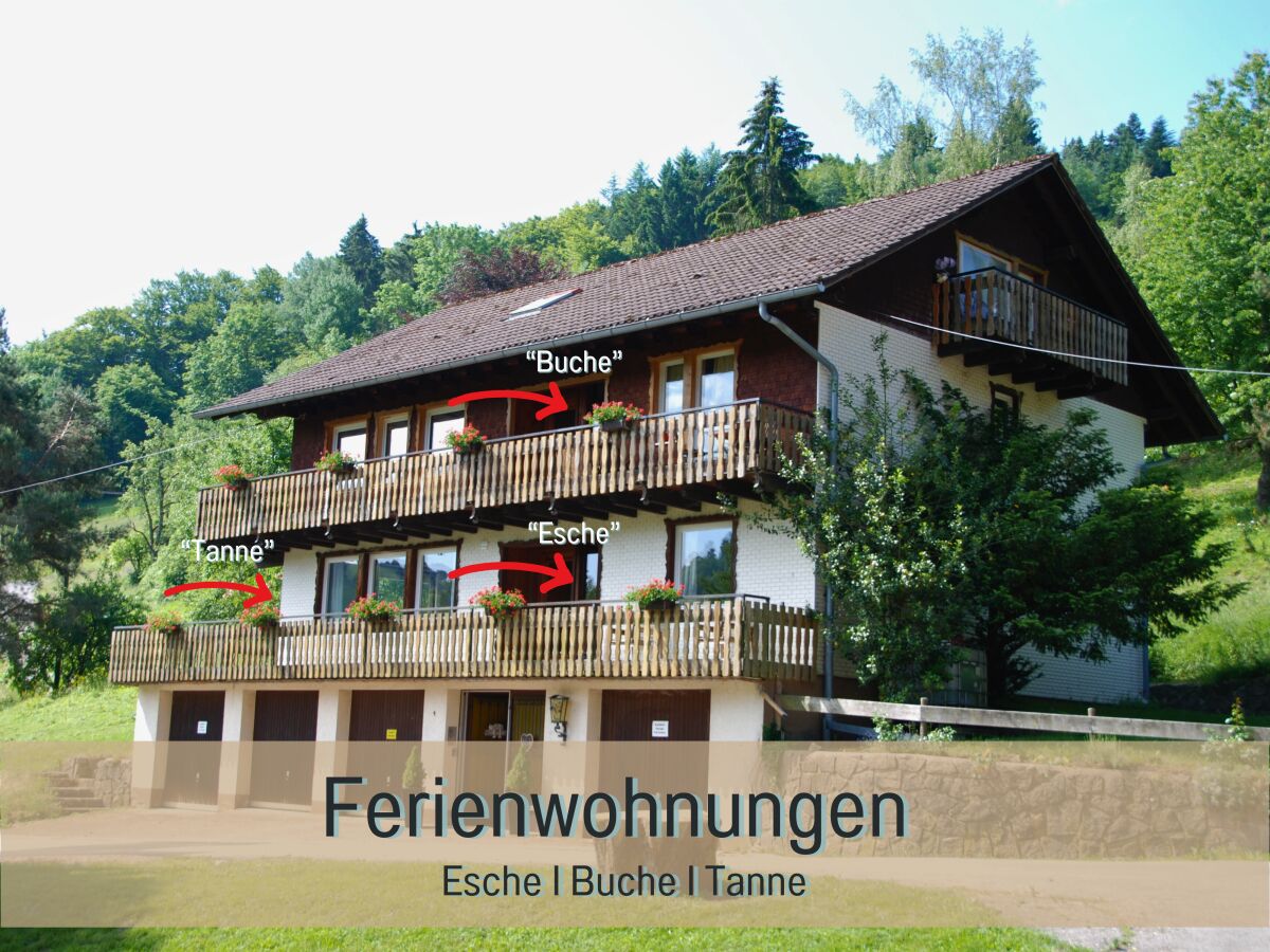 Ferienwohnung Neuenweg Außenaufnahme 6