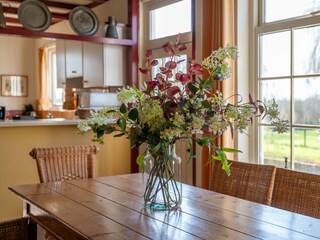 Holiday house Ovezande Outdoor Recording 5