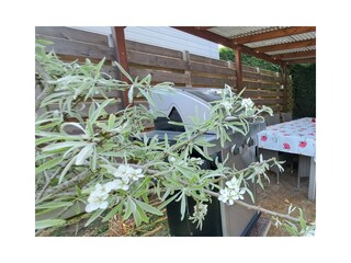 Chalet Heinkenszand Außenaufnahme 21