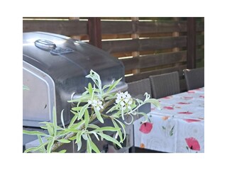 Chalet Heinkenszand Außenaufnahme 26