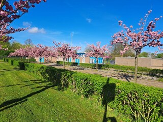 Chalet Heinkenszand Außenaufnahme 32