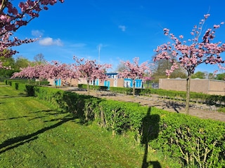 Chalet Heinkenszand Outdoor Recording 30