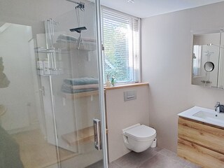 Ferienhaus Bruinisse Außenaufnahme 16