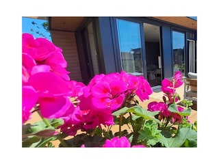 Holiday house Ouddorp Outdoor Recording 17