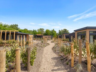 Holiday house Ouddorp Outdoor Recording 35