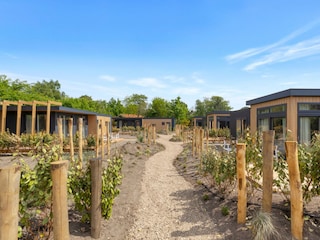Ferienhaus Ouddorp Außenaufnahme 36