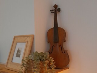 Ferienhaus Hoofdplaat Außenaufnahme 5