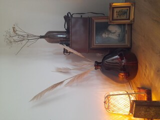 Holiday house Hoofdplaat Outdoor Recording 9