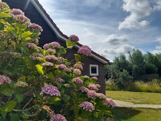 Ferienhaus Hoofdplaat Außenaufnahme 24