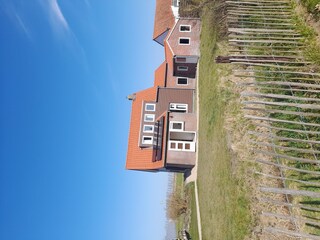 Ferienhaus Hoofdplaat Außenaufnahme 28