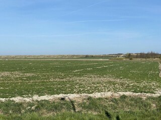 Holiday house Ellemeet Outdoor Recording 32